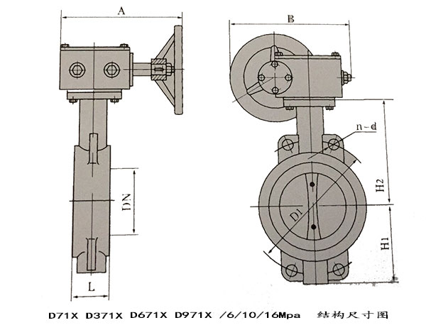 瑞奇閥門_對(duì)夾蝶閥結(jié)構(gòu)尺寸圖